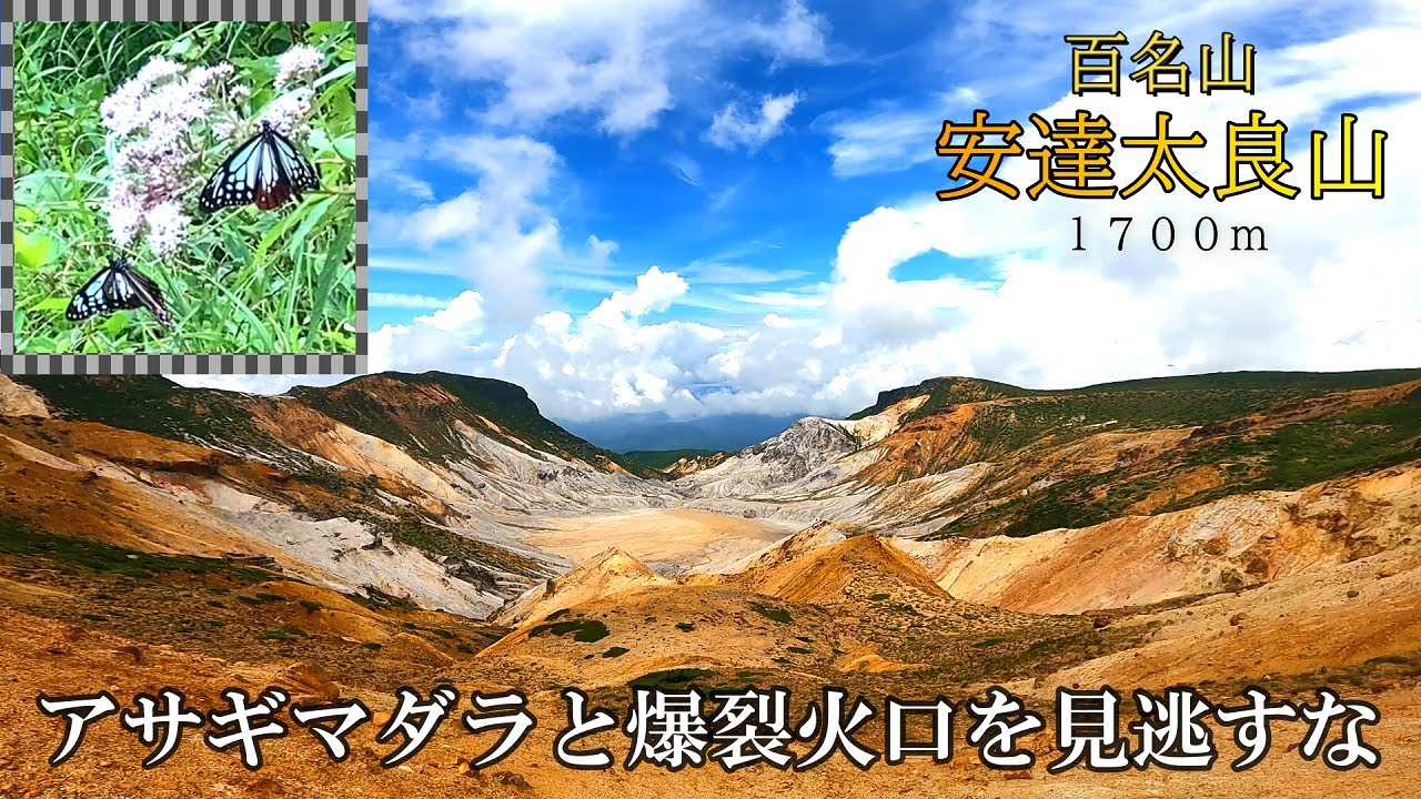 【安達太良山夏　アサギマダラと爆裂火口を見逃すな】