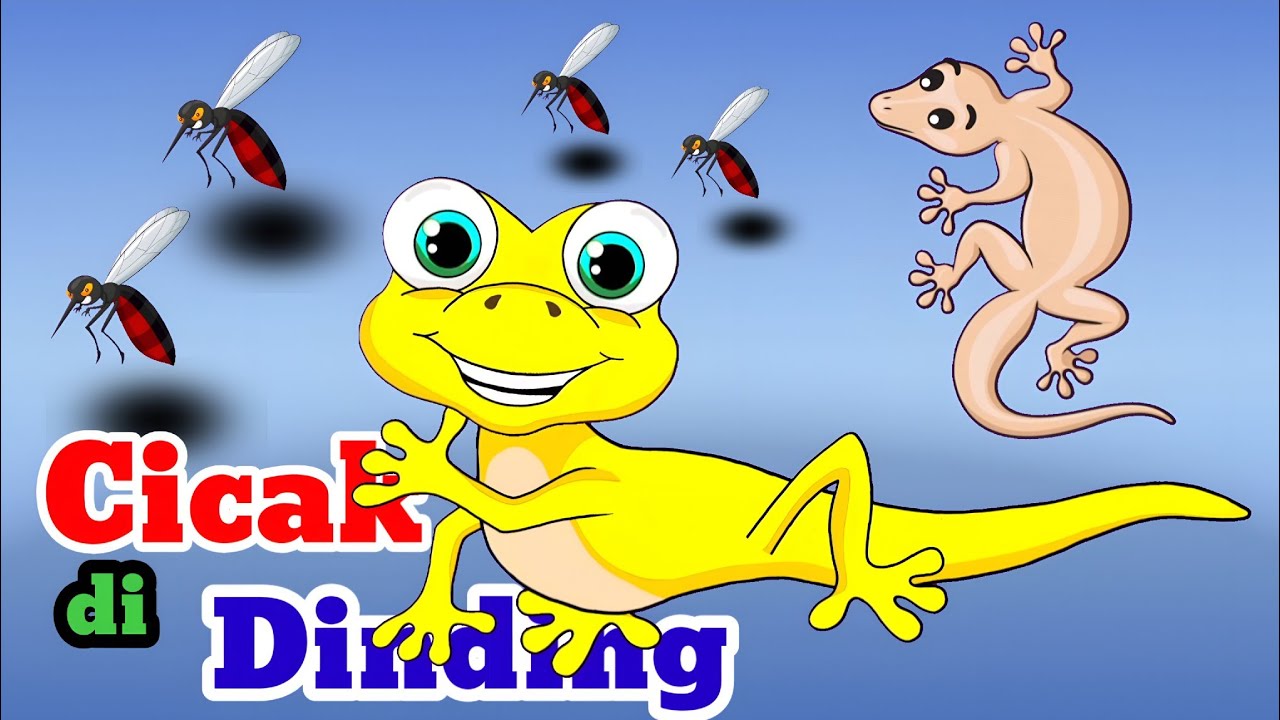 Cicak Cicak Di Dinding | Lagu Anak anak | Lagu Anak Indonesia