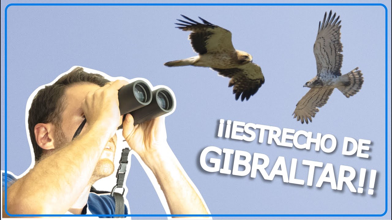 Viajamos al Estrecho de Gibraltar