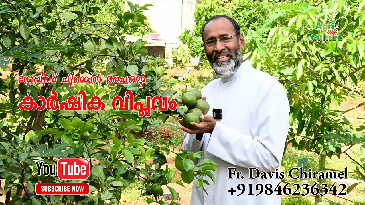 Agri My Culture - Farming of Father Davis Chiramel | ചിറമ്മൽ അച്ഛന്റെ തോട്ടം.  Ph: 9846236342