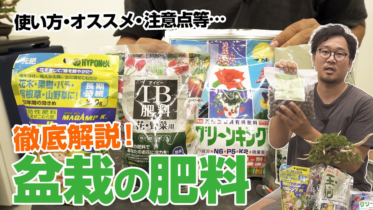 【肥料の教科書】盆栽に使う肥料を徹底解説！！