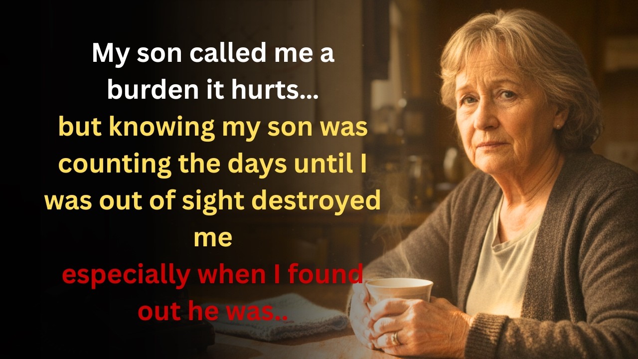 My Son Called Me a Burden—Then I Discovered He Was Waiting for me to out of sight until
