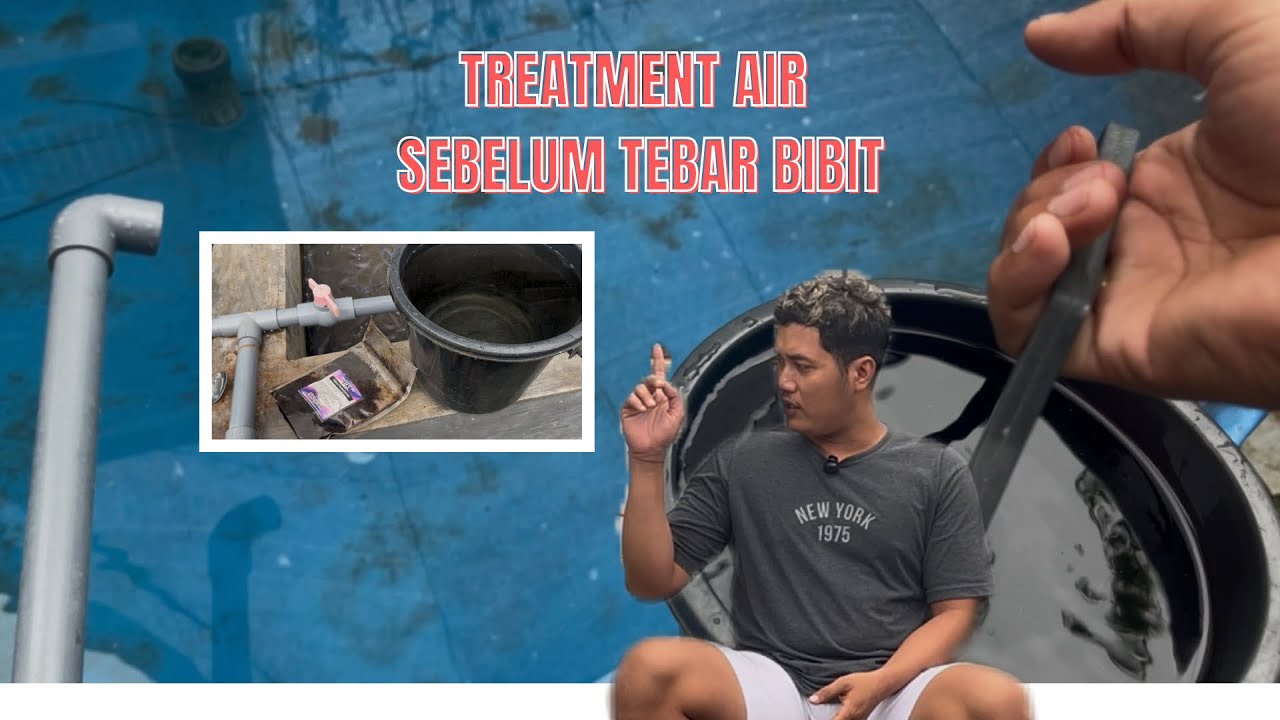 LAKUKAN INI SEBELUM TEBAR BIBIT!!! SUPAYA BIBIT LELE SEHAT