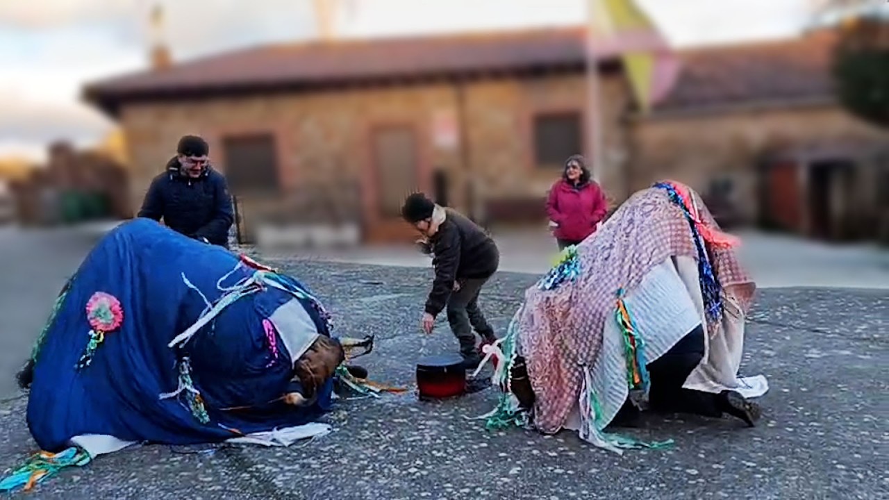 Carnaval -  La Gallega 2026