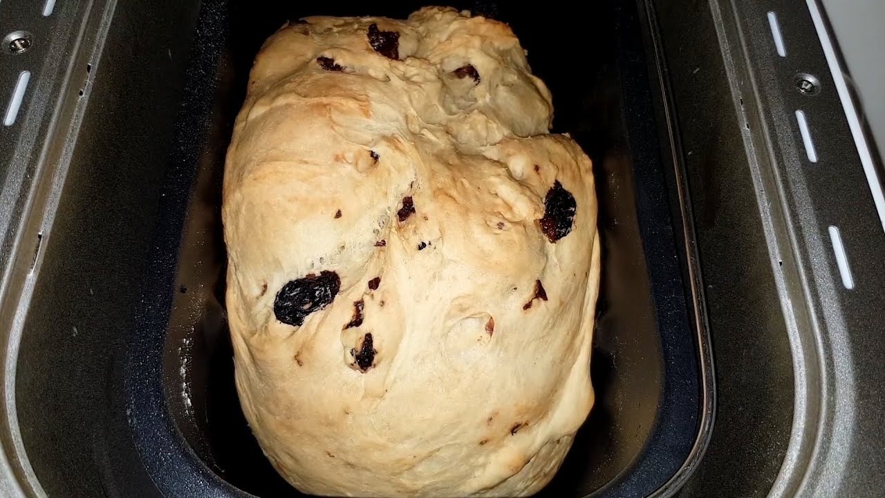 Silvercrest LIDL bread maker automatic machine SBB850E1 IAN314657: how to make raisin bread. Dark