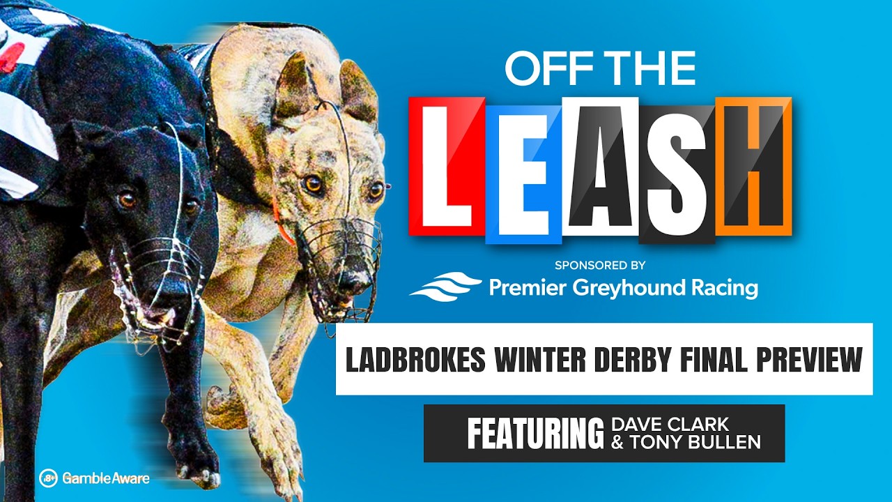 Предварительный обзор финала Зимнего Дерби от Ladbrokes | Off The Leash | Советы по собачьим бега...