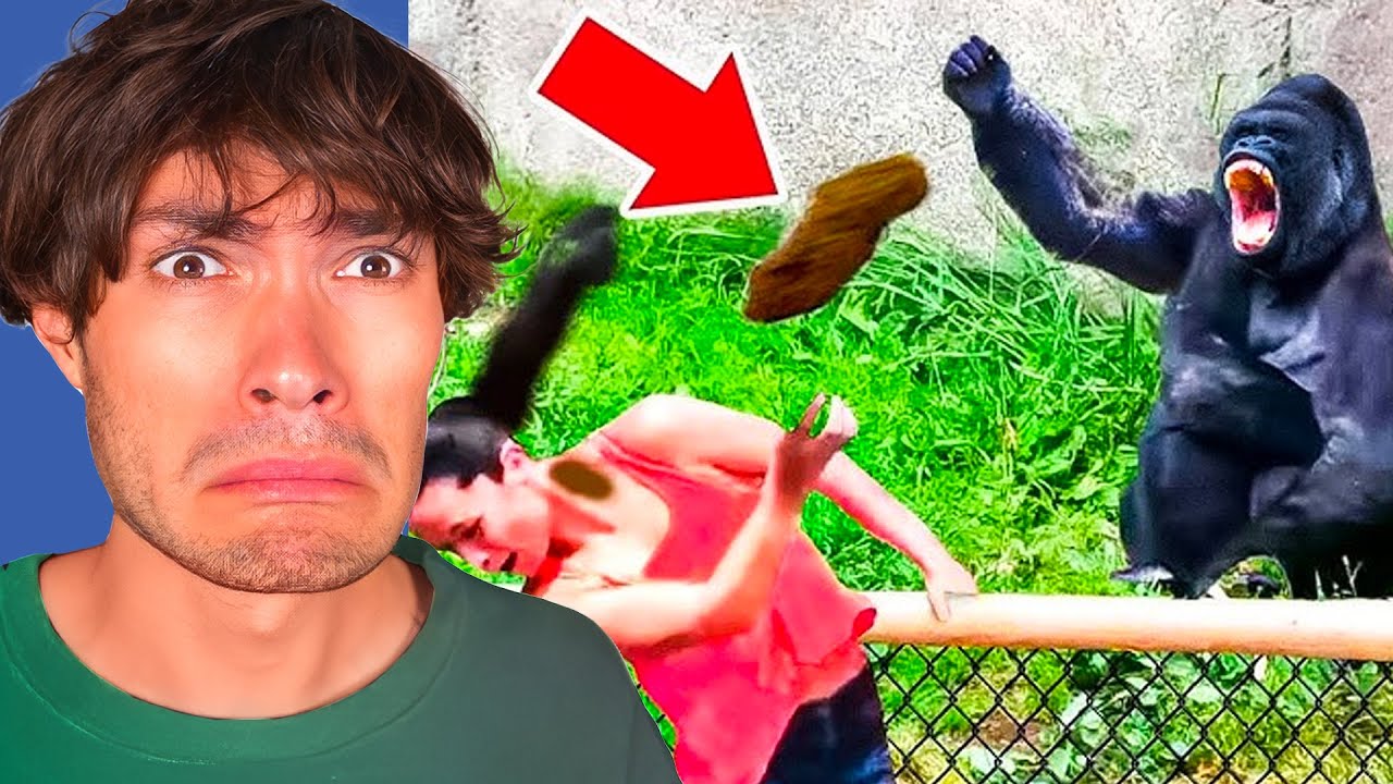 Les PIRES animaux du MONDE !!!!