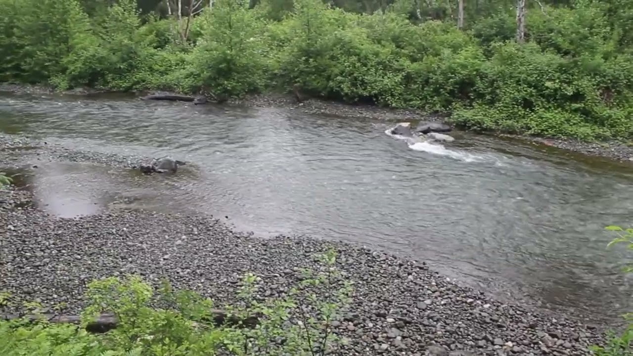 Canyon View Trail, Vancouver Island BC