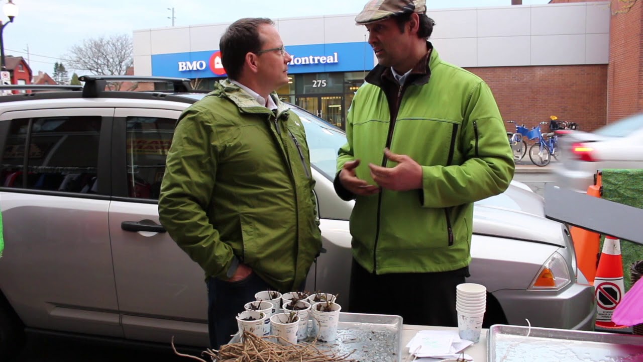 Real People, Real Solutions  - Peter Ormond