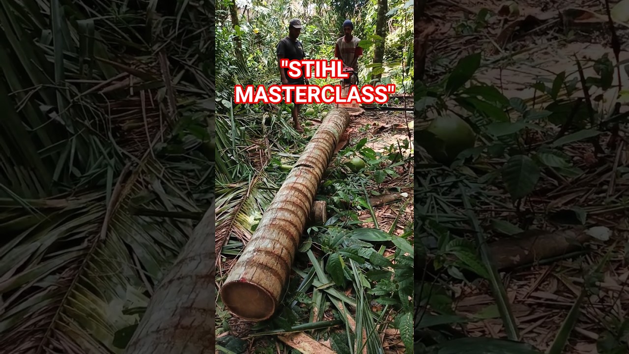 Incredible Finishing! Achieving Millimeter Precision on Super Grade Coconut Beams. 
