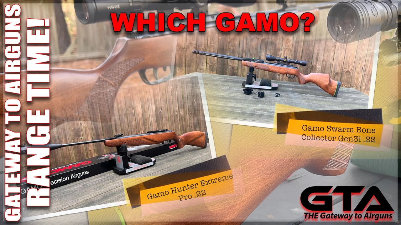 GAMO SWARM BONE COLLECTOR и GAMO HUNTER EXTREME PRO — какой из них выбрать? — Путь к пневматическ...