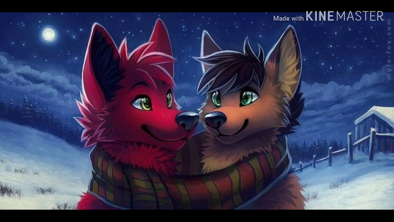 Furry-the nights