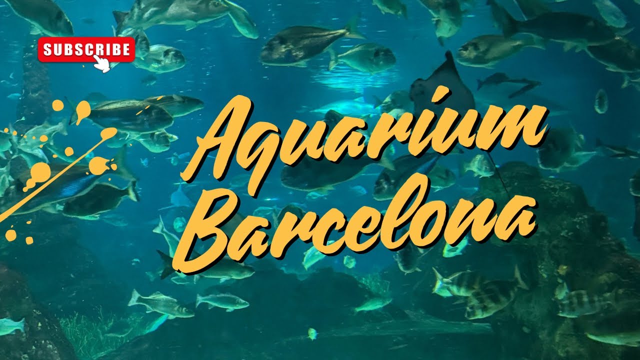 LA Aquarium Barcelona | Spain 🇪🇸 