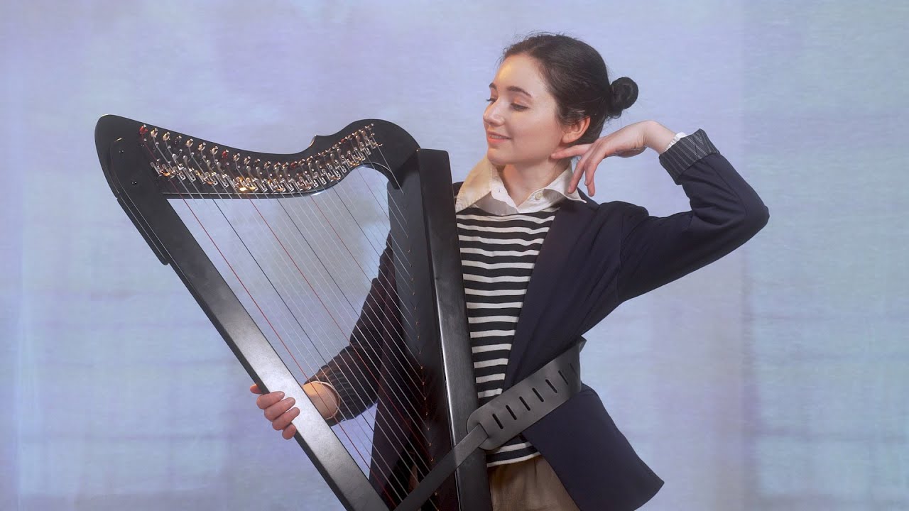 Never Gonna Give You Up  |  Rick Astley (Harp Cover)