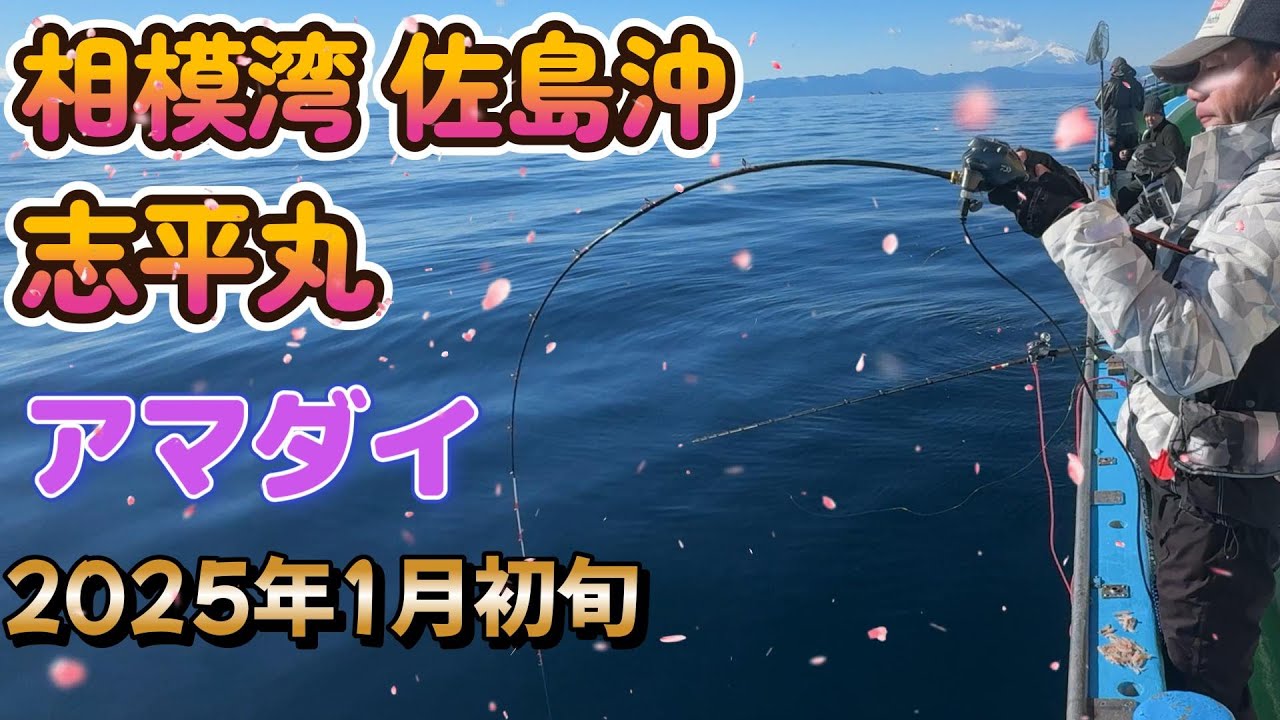 2025年新春　相模湾　佐島沖　アマダイ  志平丸