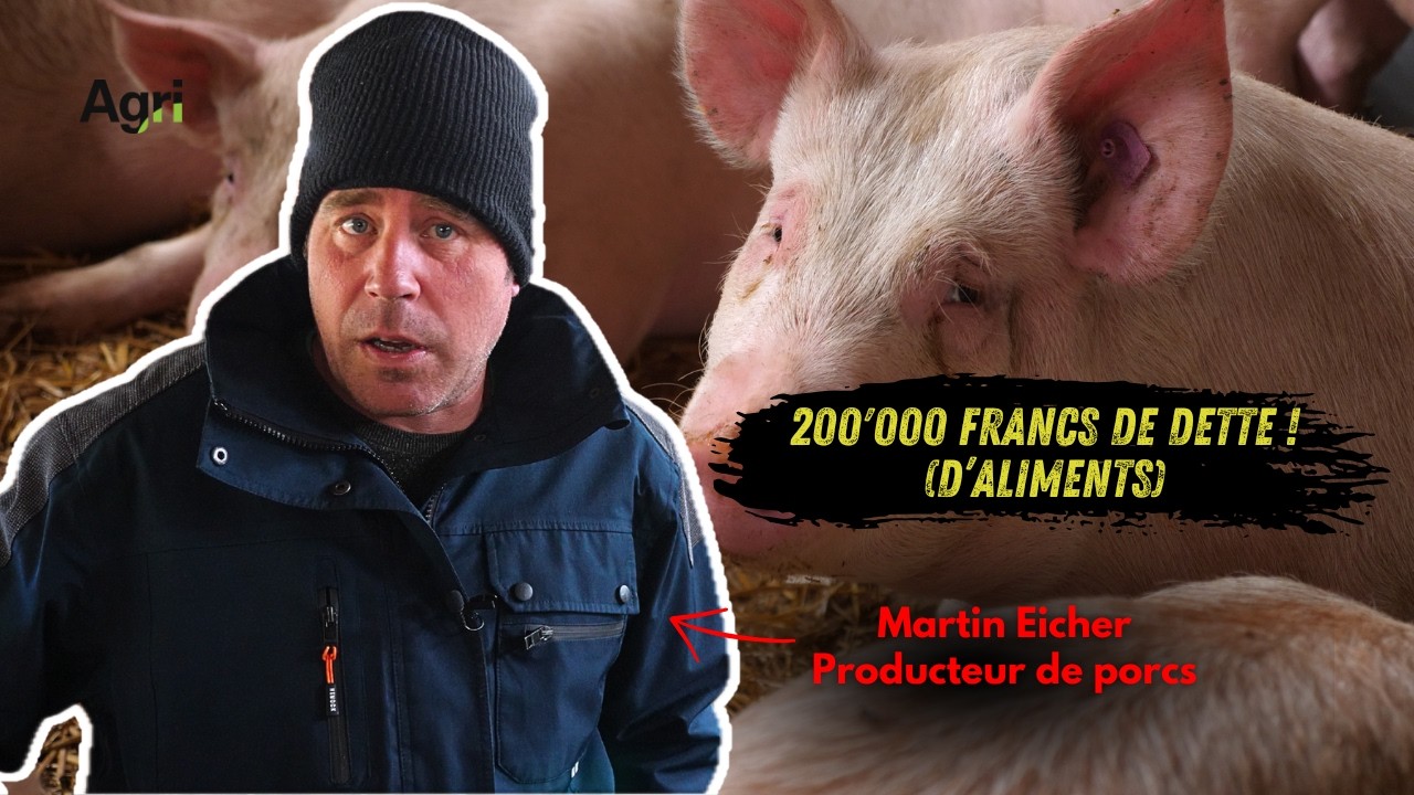 CRISE du PORC: 