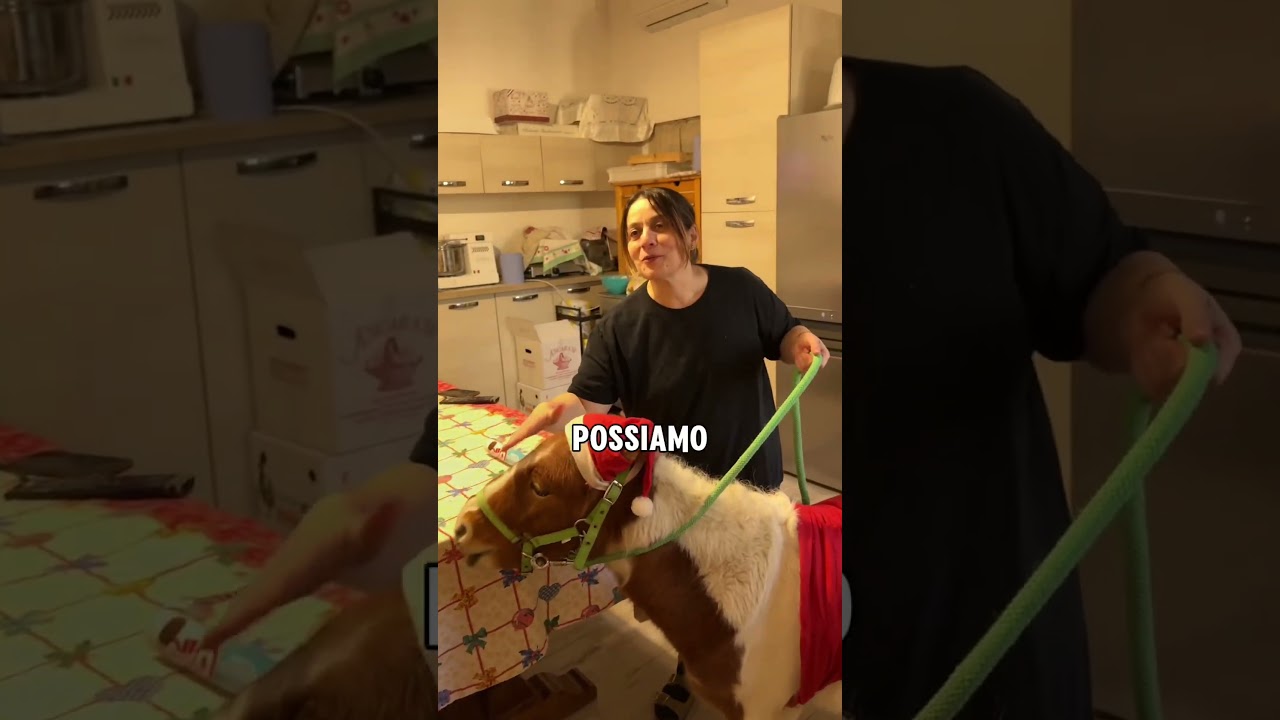 HO PORTATO UN MINI-PONY DENTRO CASA‼️🦄😂 