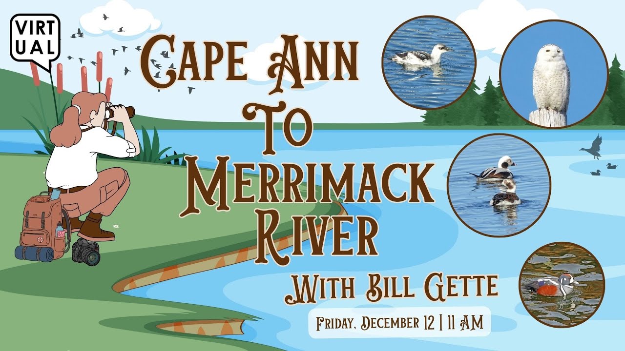 Cape Ann to Merrimack River with Bill Gette