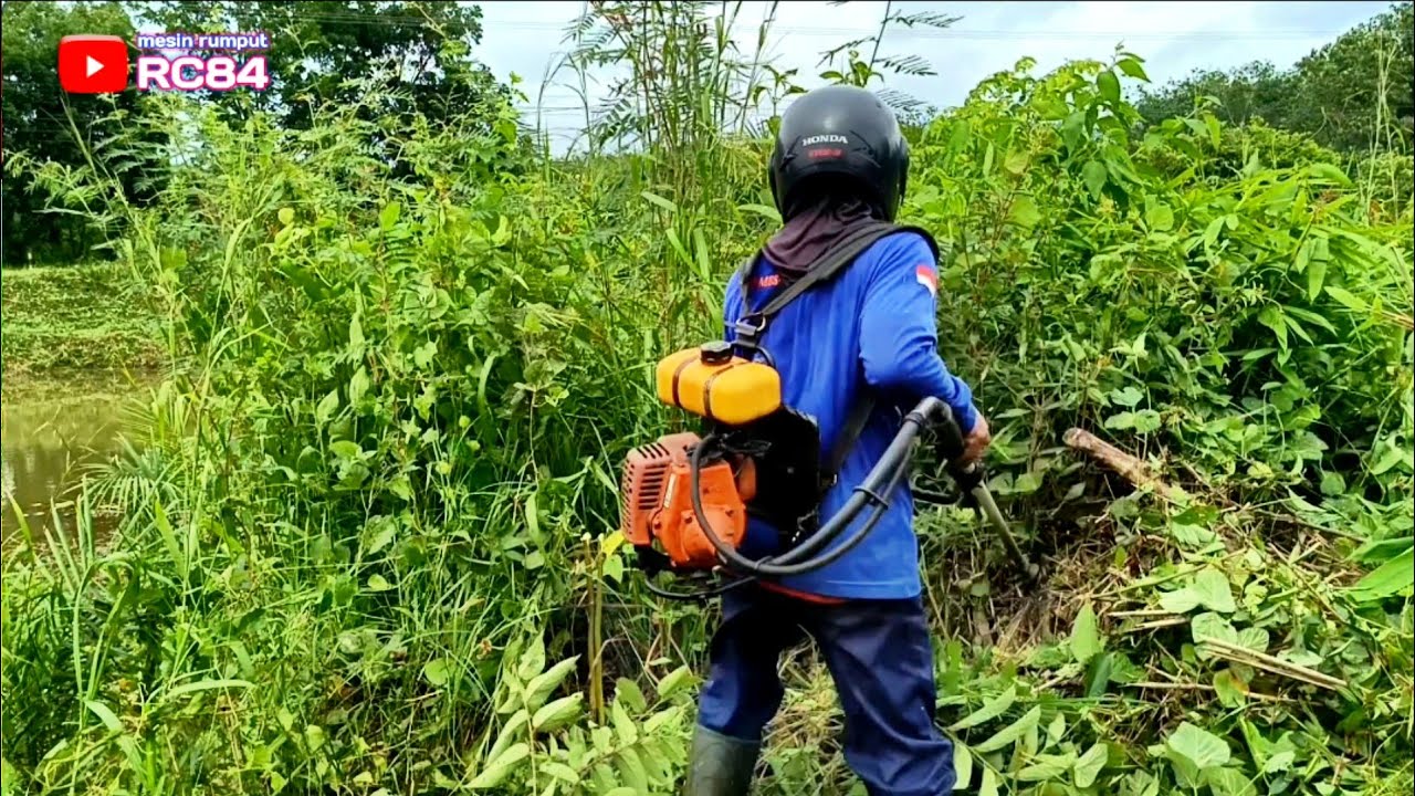 Selesai sudah potong rumput di kebun sawit bersama mas Roy #rc84