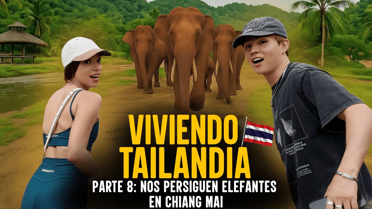 Viviendo Tailandia – Parte 8: Conociendo Elefantes Por Primera Vez, un Santuario Ético en Chiang Mai