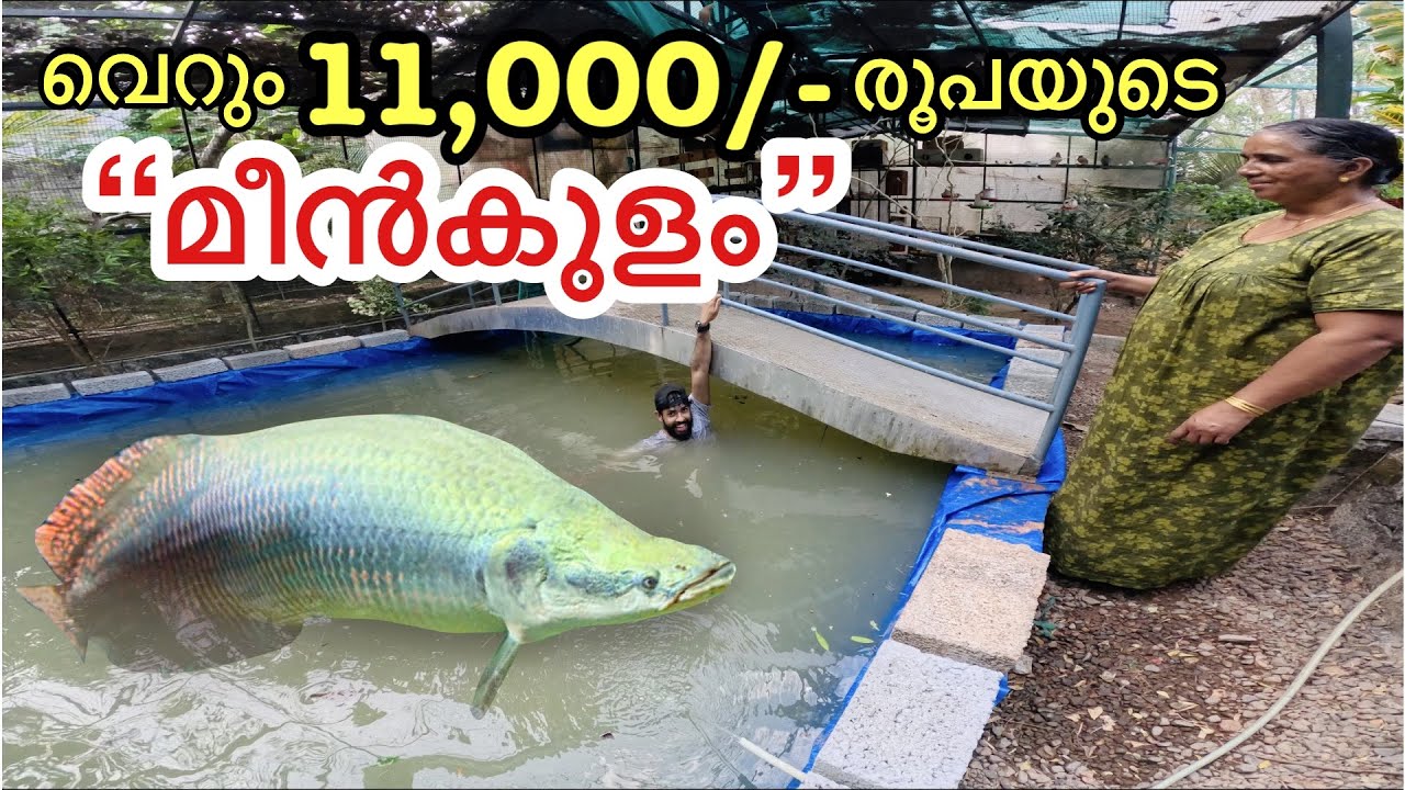 💥 കുറഞ്ഞ ചിലവിൽ ഇത്രയും വലിയ കുളമോ?? | DIY pond Building in Kerala