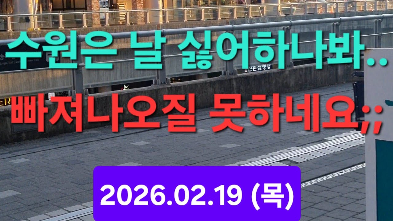 대리운전 카카오대리 티맵대리 일반기사 애증의 수원~