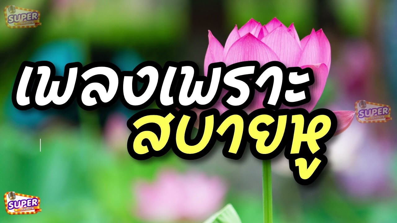 เพลงเพราะ MP3 ฟังสบายหู