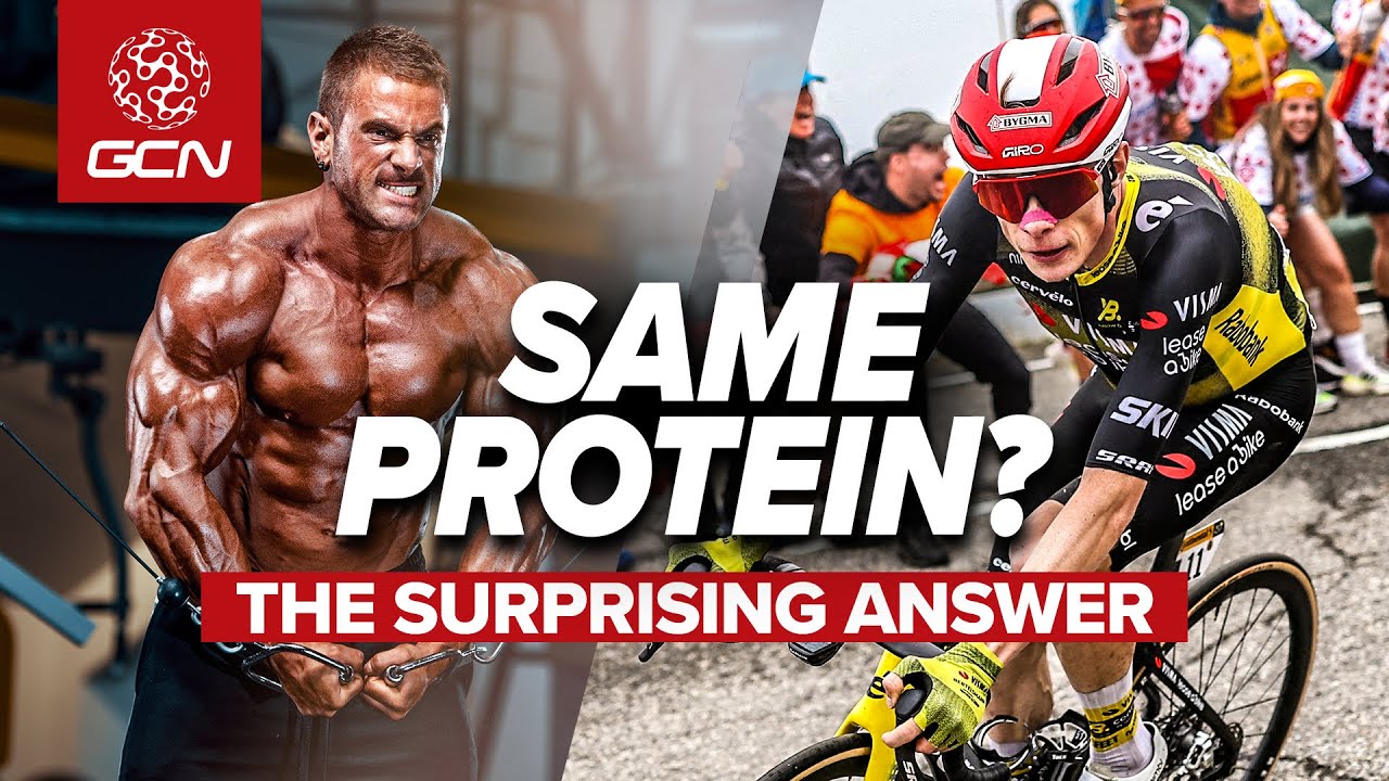 How Much Protein Do Tour de France Riders Consume?