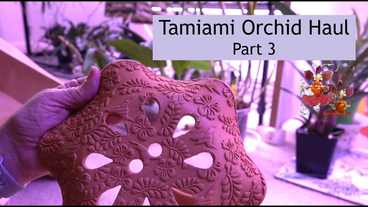 Распаковка орхидей из Тамиами - Часть 3 | Креативные и декоративные способы посадки и закрепления...