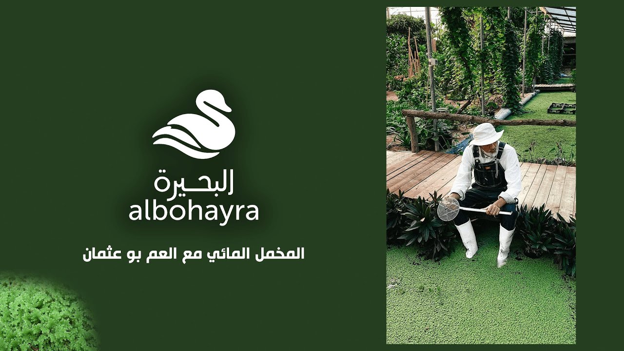 المخمل المائي مع العم بو عثمان 🌱 | albohayra