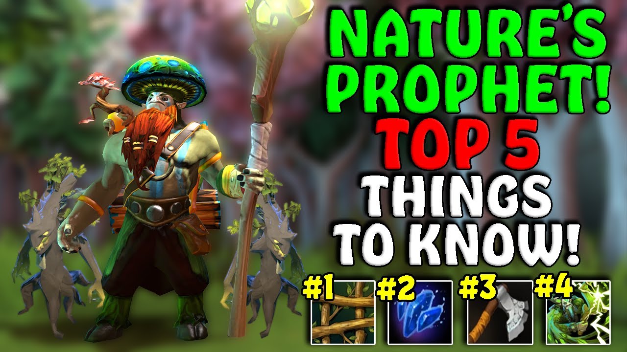 5 Things To Know About NATURE'S PROPHET! - 7.34
