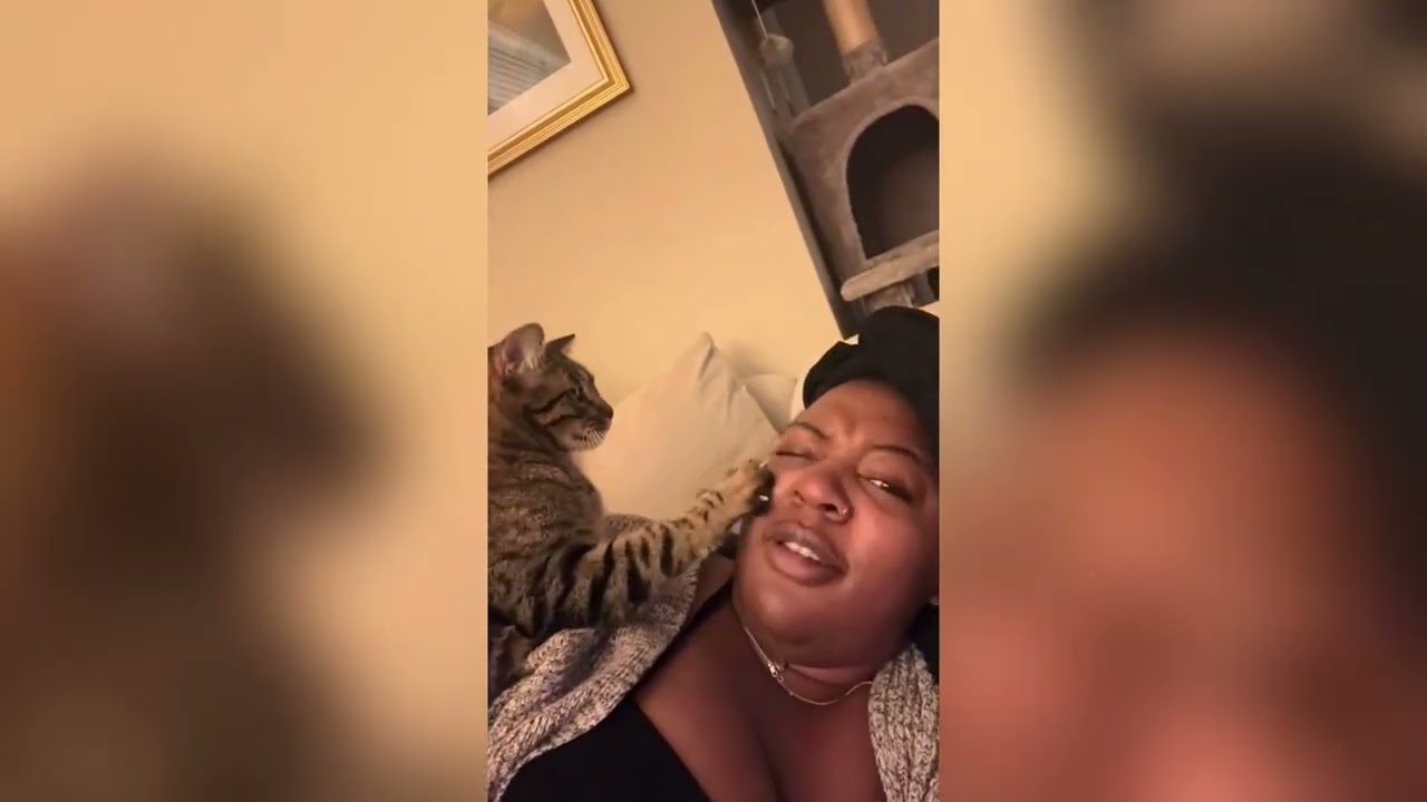A clingy cat 