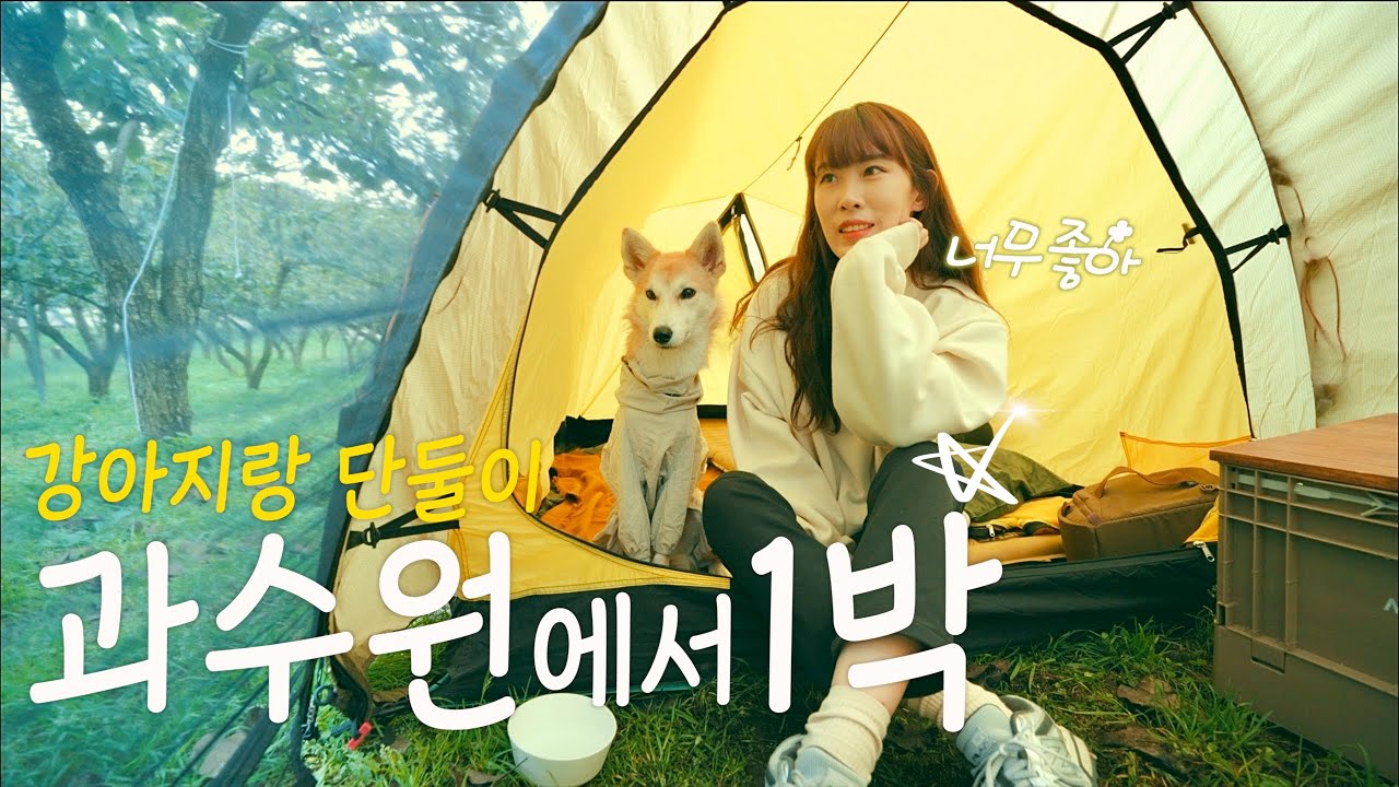 서울 근교 이런 캠핑장이 다 있네요!? | 용인 과수원 캠핑장 | 반려견 동반 캠핑 | 솔캠 | 숲속의 아침