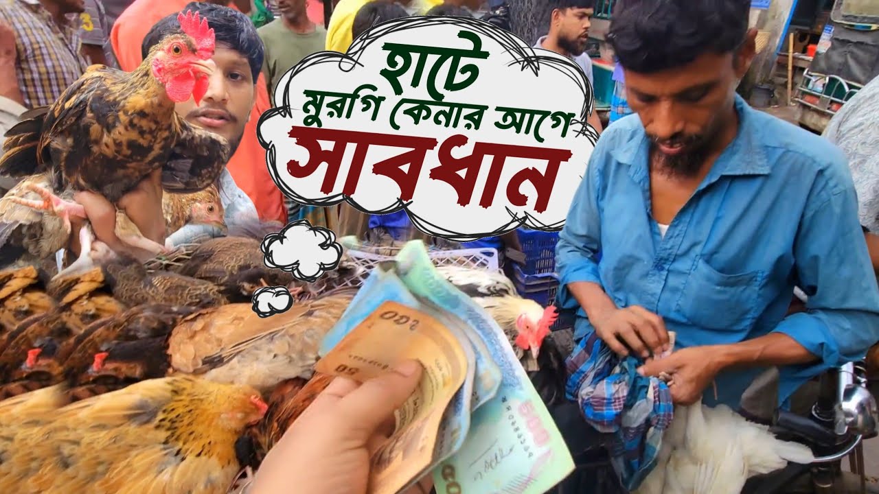 হাট থেকে মুরগি কিনলে কি দেখে সুস্থ মুরগি চিনবেন