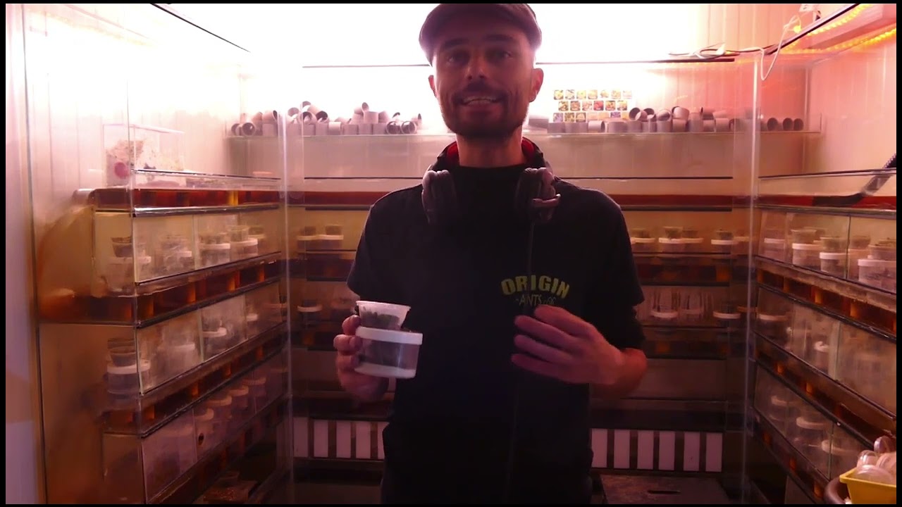 A propos des 