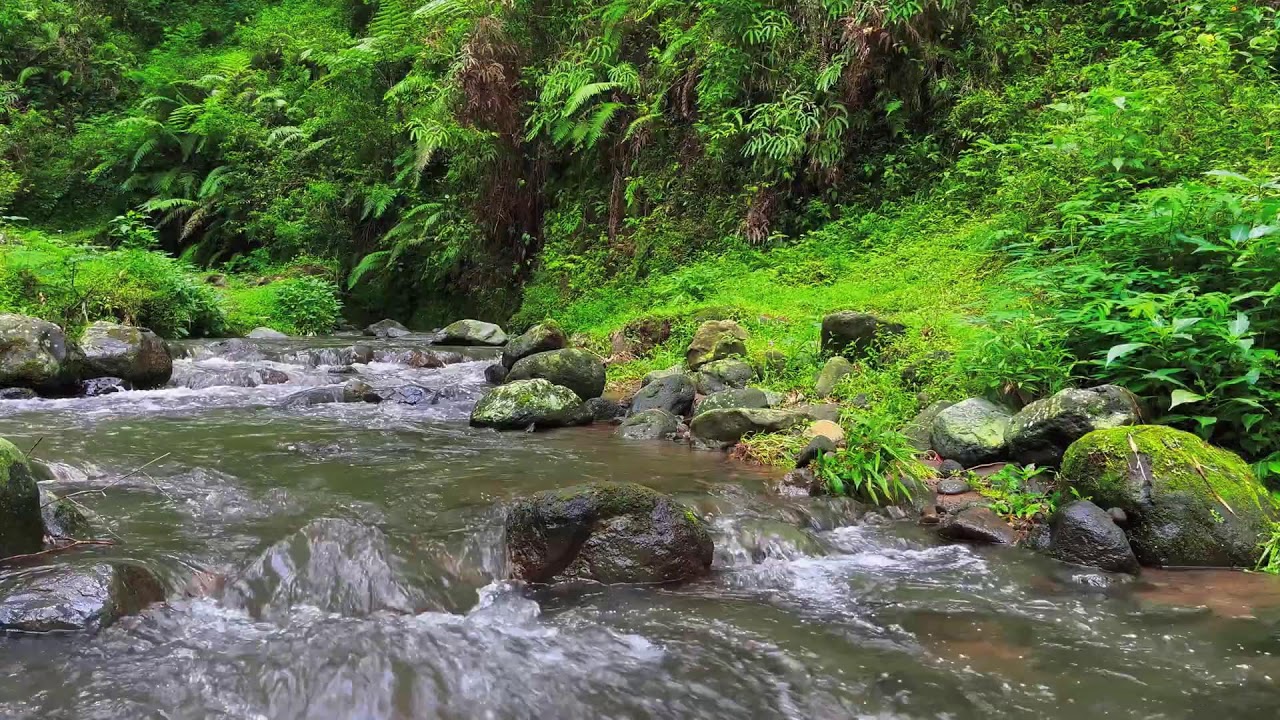 Shallow River Flow – Soothing Nature Sounds for Meditation