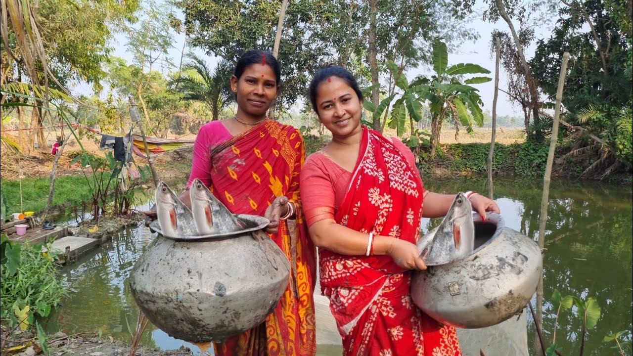 শীতে পুকুর ছেঁচে অনেক বড়ো বড়ো পাঙ্গাশ মাছ ধরলাম || #fishing ||@msfamily2580