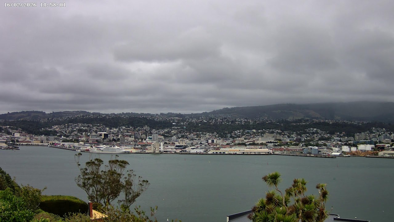 Dunedin, NZ - Live Webcam (4K): 16-02-2026 03:00 to 14:59