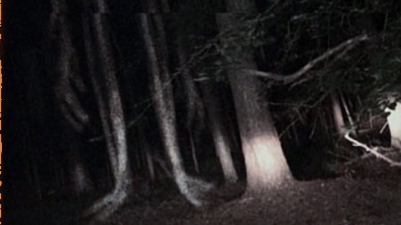 Sirenhead Forest Encounter | EAS Scenario