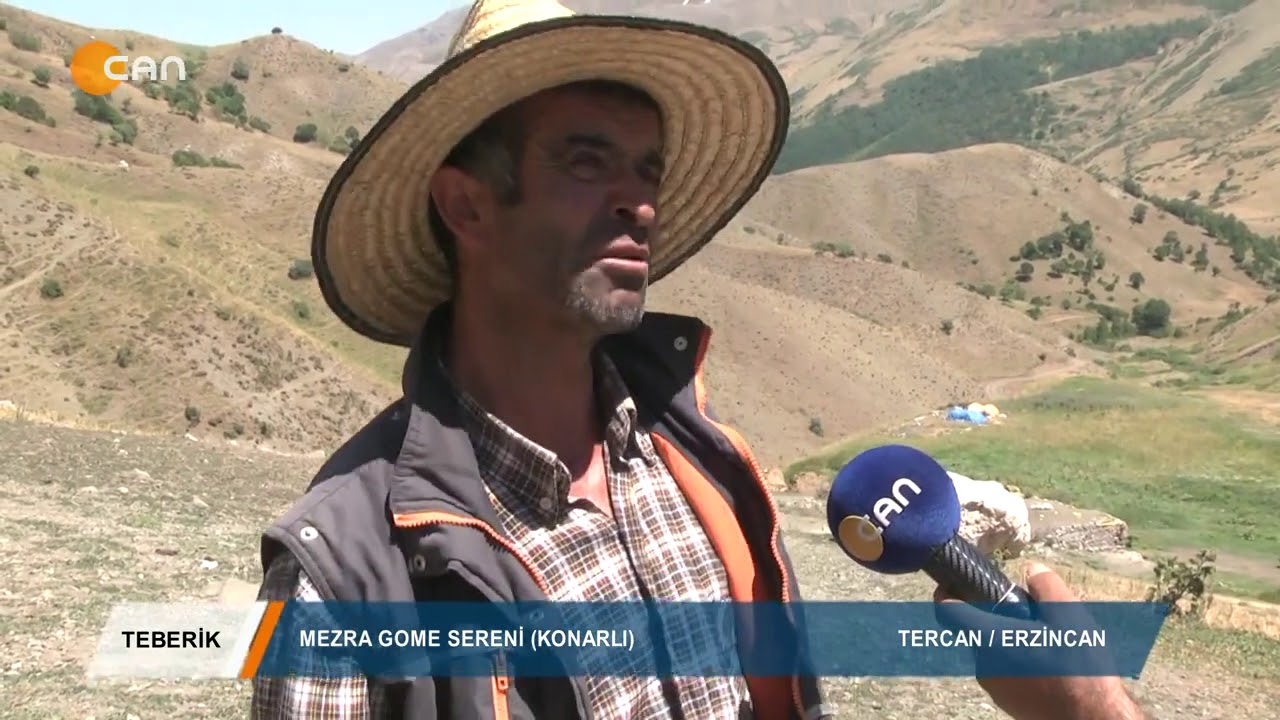 Teberik - Ali Şeker - MEZRA GOME SERENİ (KONARLI) / TERCAN - ERZİNCAN   13 09 2019