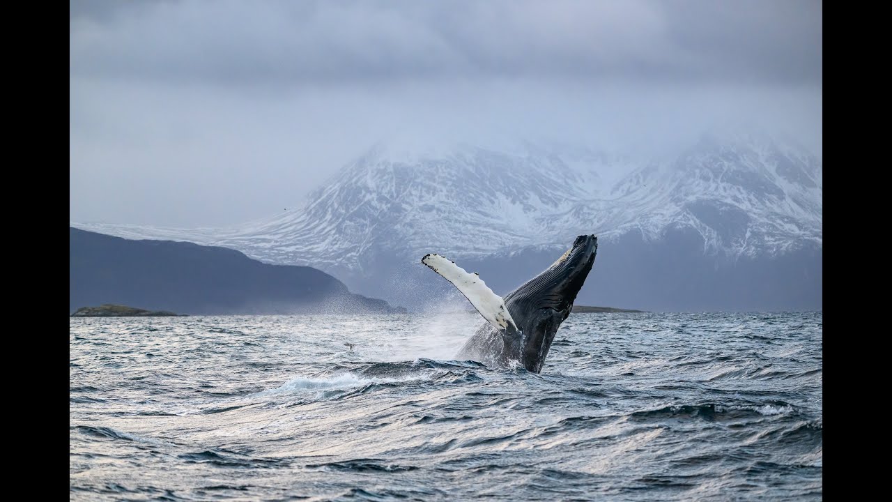 Norvège 2025