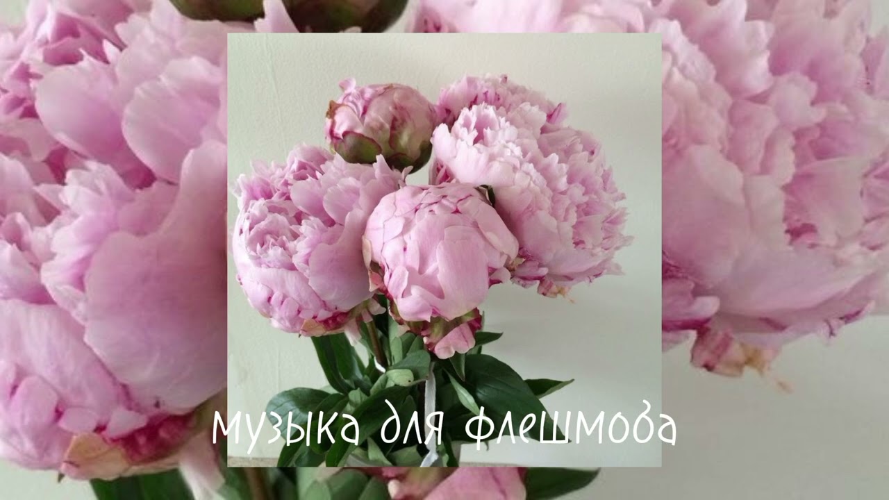 🙏музыка для флешмоба🙏