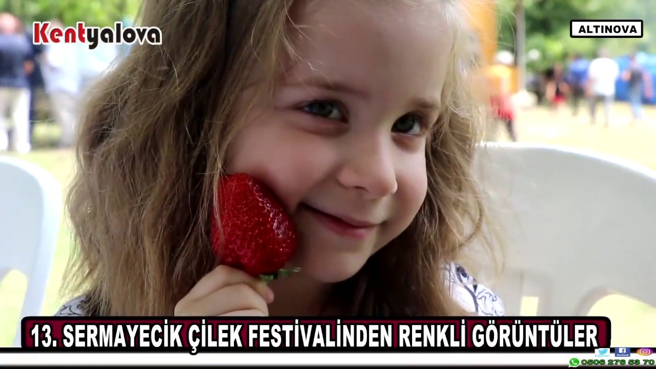 ÇİLEK FESTİVALİ RENKLİ GÖRÜNTÜLERE SAHNE OLDU