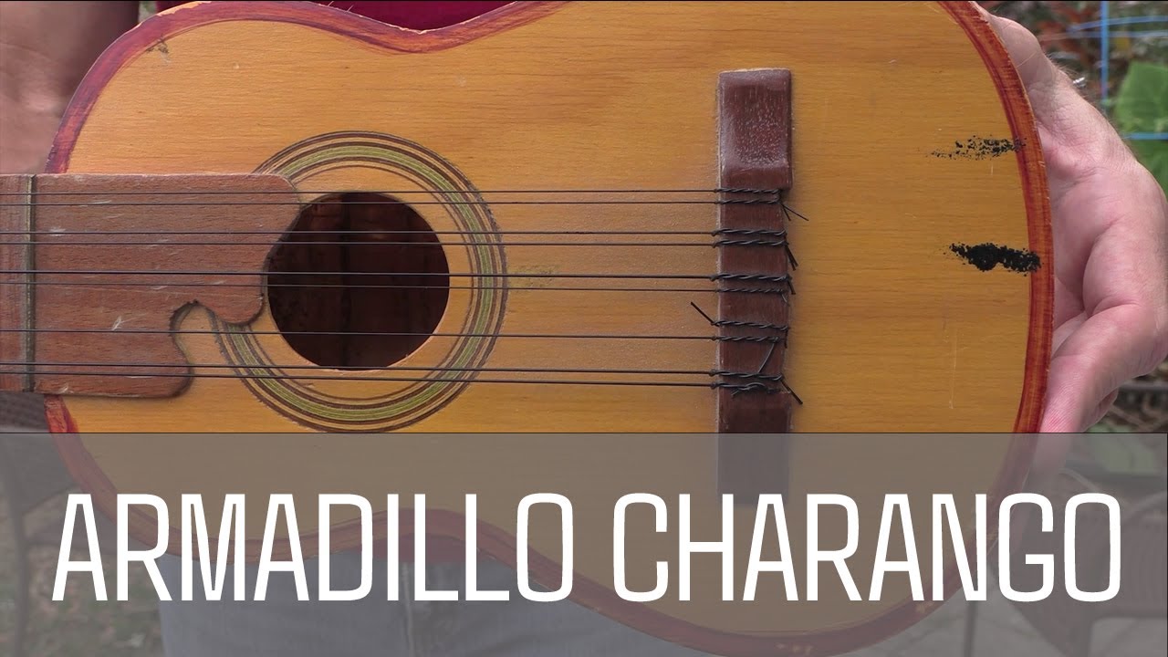 World Music Safari - Armadillo Charango