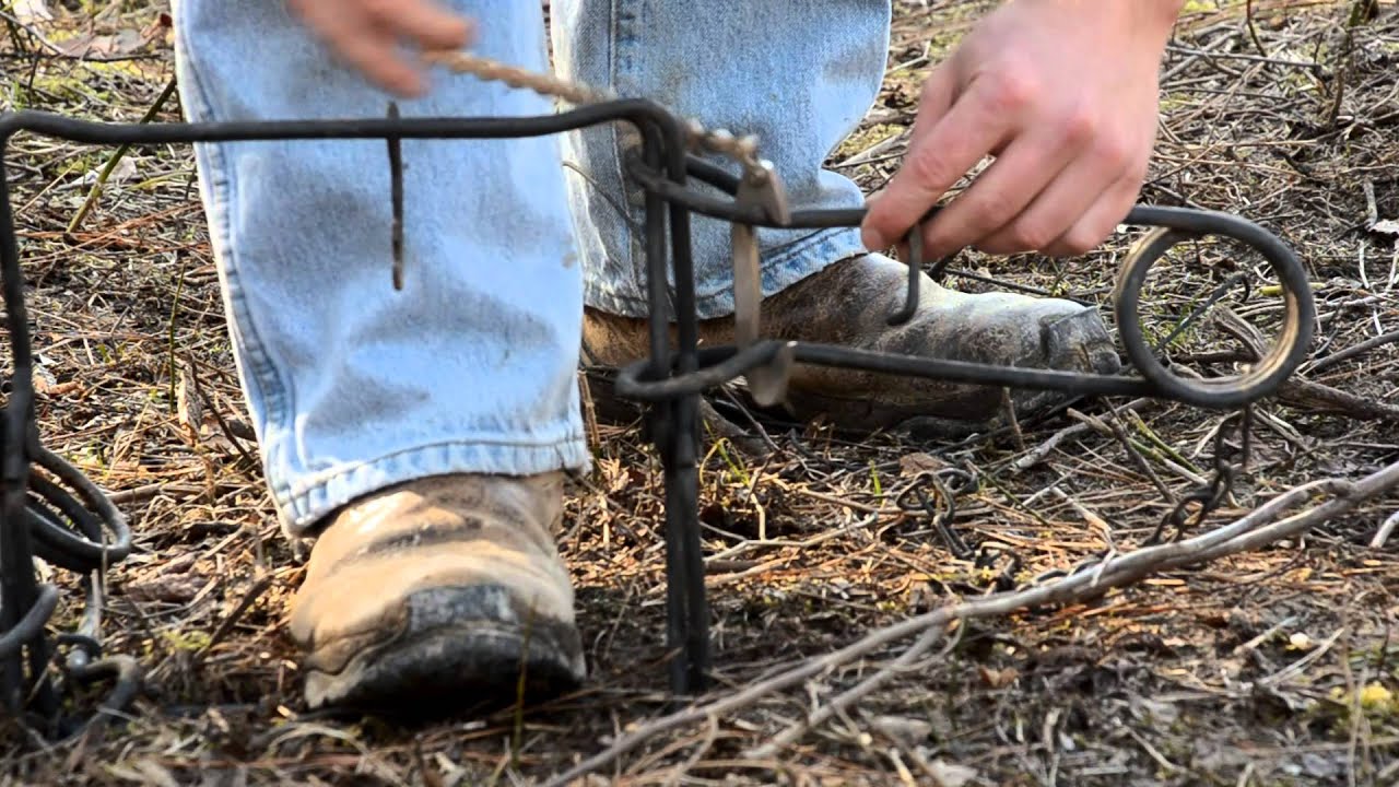 How to use Trapper Ron's Conibear Safety Setter