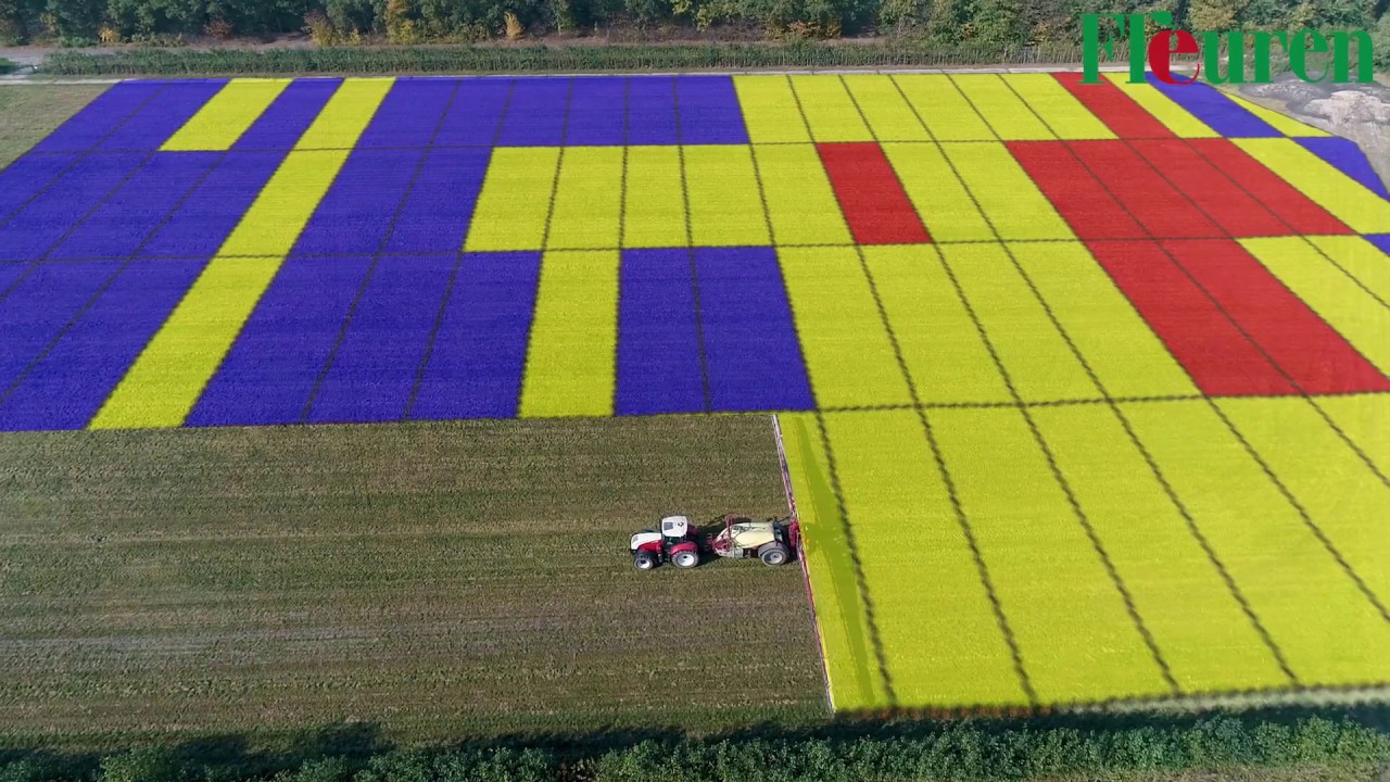 Bodemscannen Bemonsteren Bemesten| Fleuren| Precisielandbouw