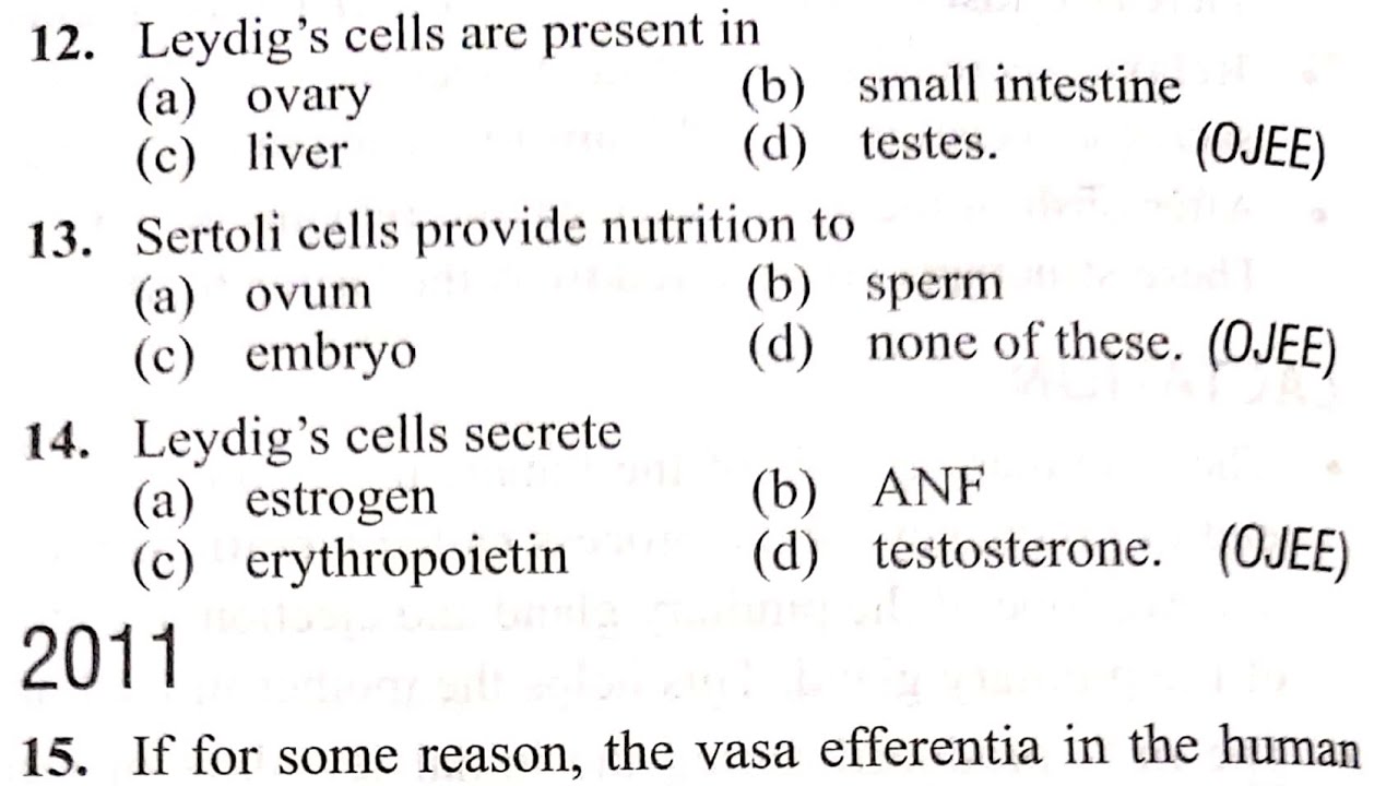 (10) Biology very important questions for NEET 2025 || Human Reproductive System