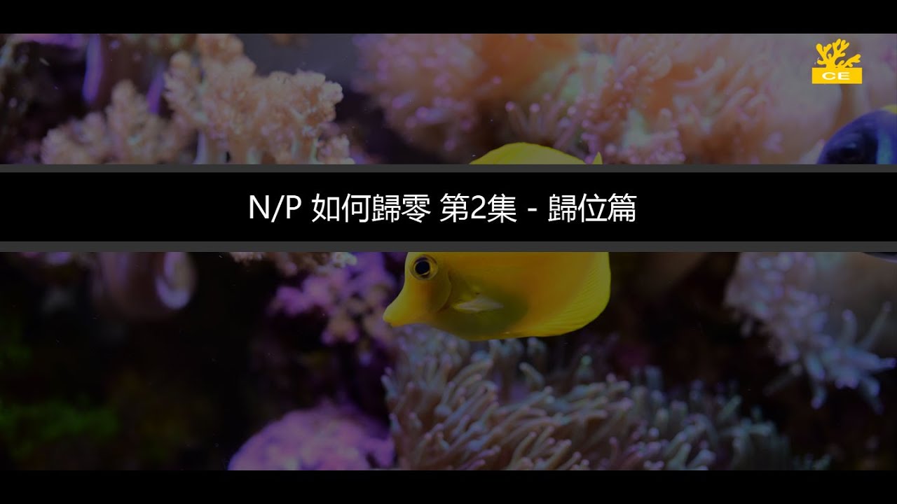 第二章  第2集 歸位  - N/P如何歸零 (四萬海水缸)