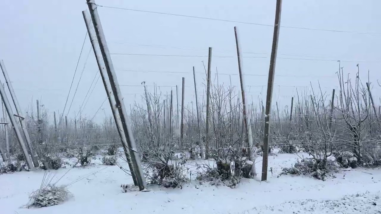 Bonito día ahora si cayó nieve de febrero 