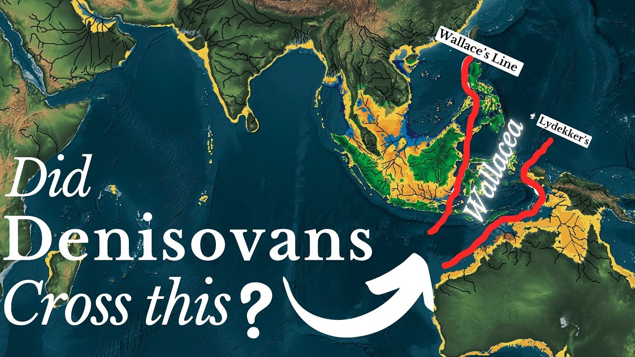 Did Denisovans Cross the Wallace’s Line?